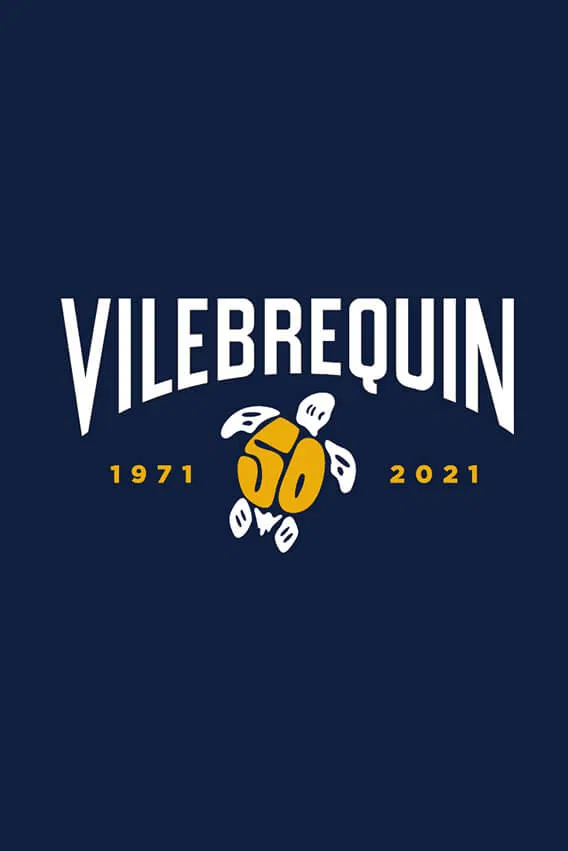vilebrequin
