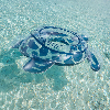 Resim Unisex Turtle Simit Turtloop Plaj Oyuncakları RTLA4808-000 | Vilebrequin